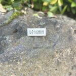 Ringana-Partner-werden-Frischepartner