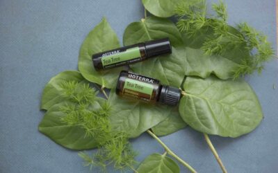 Entdecke die Kraft des doTERRA Tea Tree/ Teebaumöls