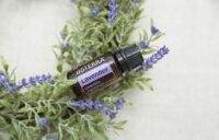 doTERRA Lavendel