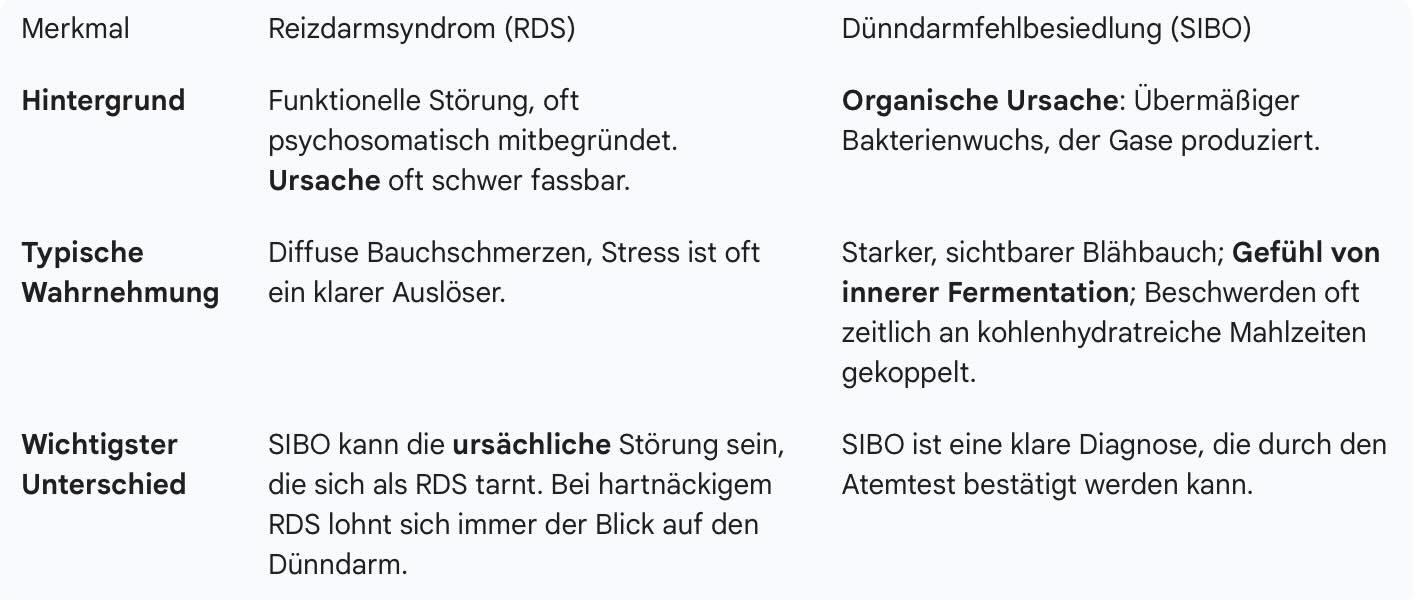SIBO-oder-Reizdarm-Tabelle-ivonne-adamsde