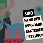 sibo-dünndarmfehlbesiedlung
