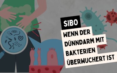 SIBO Dünndarmfehlbesiedlung