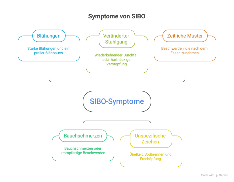 Symptome-und-Beschwerden-bei-SIBO