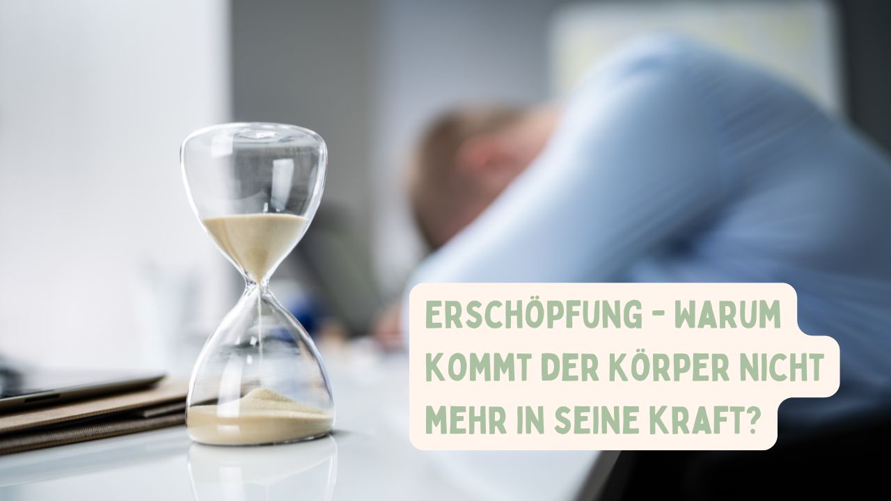 erschoepfung-ivonne-adamsde