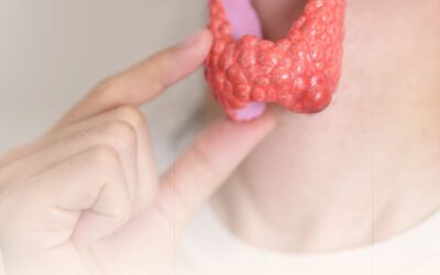 Hashimoto Thyreoiditis