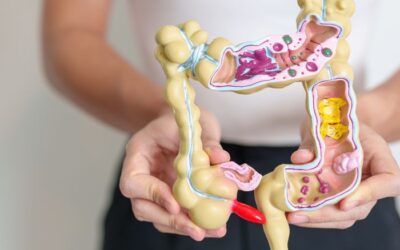 Das Mikrobiom: Warum die Bakterien in uns über unsere Gesundheit mitentscheiden